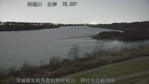 tonos2026013101_image