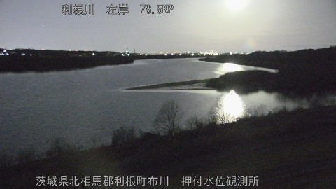 tonos2026013105_image