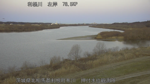 tonos2026013107_image