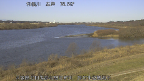 tonos2026013109_image