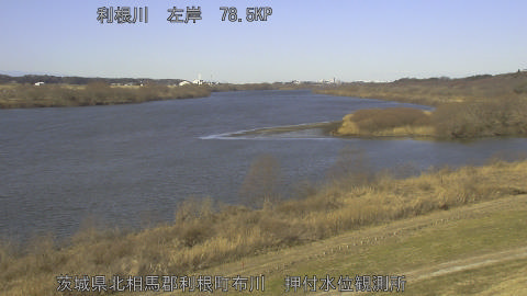 tonos2026013110_image