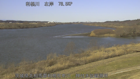 tonos2026013111_image