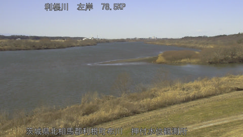 tonos2026013112_image