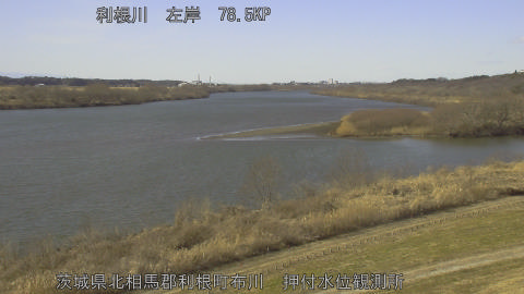 tonos2026013113_image