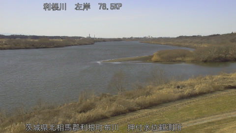 tonos2026013114_image