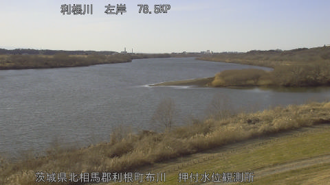 tonos2026013115_image