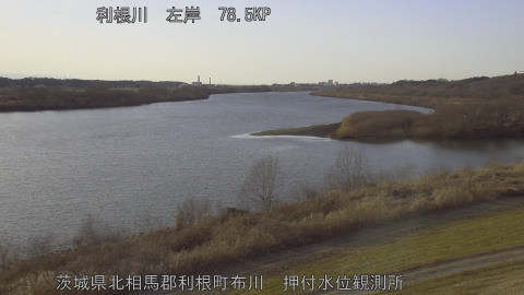 tonos2026013116_image