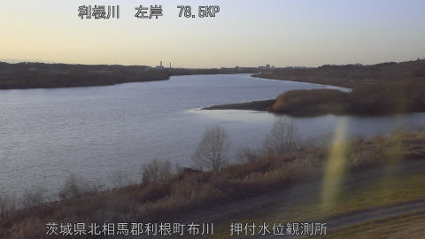 tonos2026013117_image