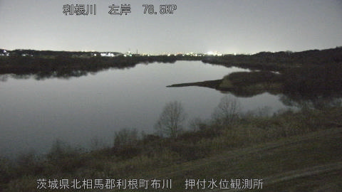 tonos2026013119_image