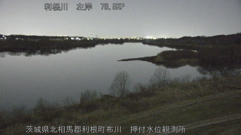 tonos2026013120_image