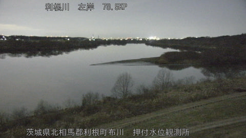 tonos2026013123_image