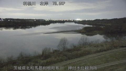 tonos2026020100_image