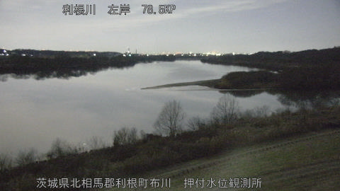 tonos2026020104_image