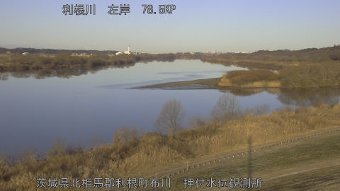 tonos2026020108_image