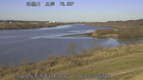 tonos2026020109_image