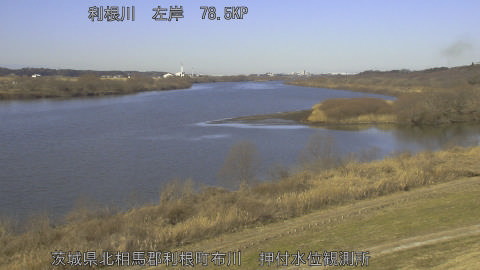 tonos2026020110_image