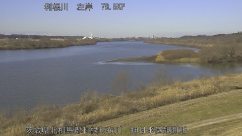 tonos2026020111_image