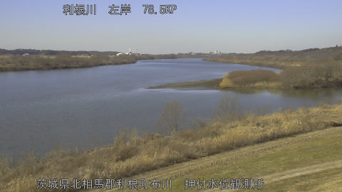 tonos2026020112_image