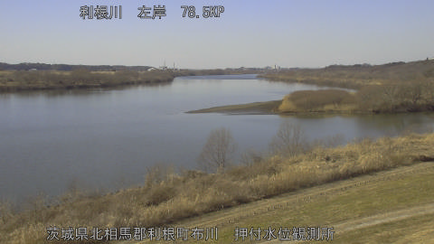 tonos2026020113_image