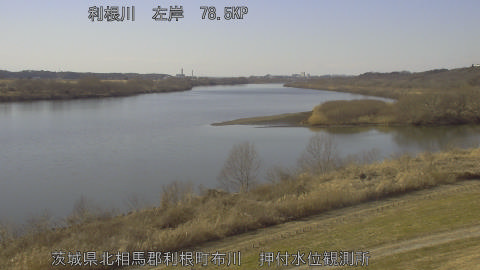 tonos2026020114_image