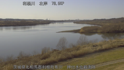 tonos2026020115_image