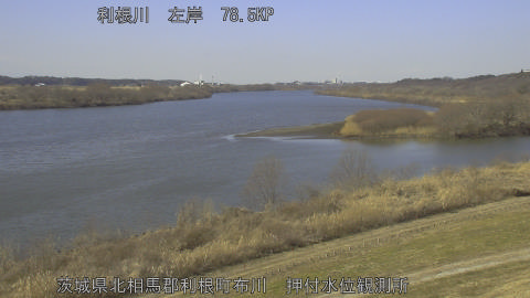 tonos2026020212_image