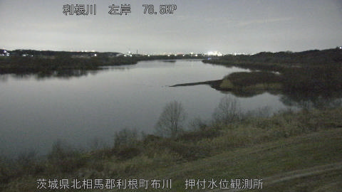 tonos2026020222_image