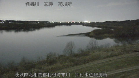 tonos2026020300_image