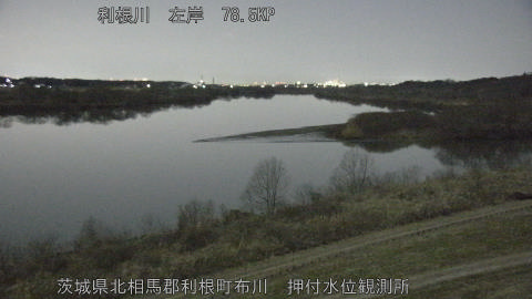 tonos2026020301_image