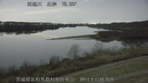 tonos2026020303_image