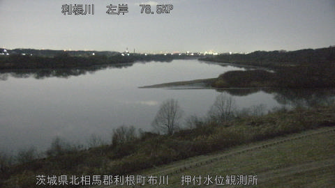 tonos2026020304_image