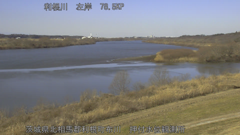 tonos2026020311_image