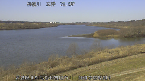 tonos2026020312_image