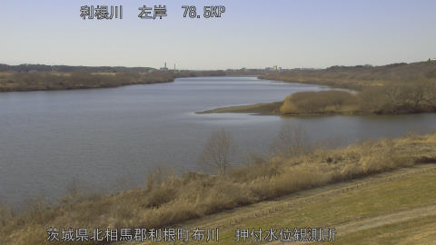 tonos2026020314_image