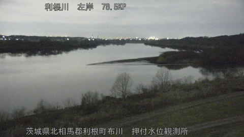 tonos2026020402_image