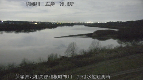 tonos2026020404_image