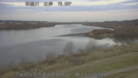 tonos2026020407_image