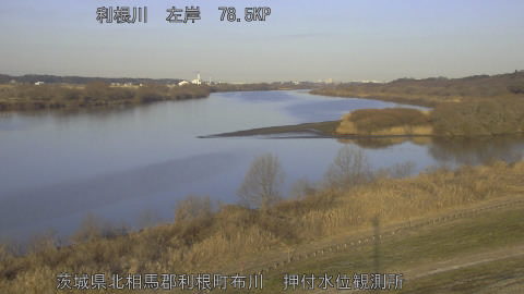 tonos2026020408_image