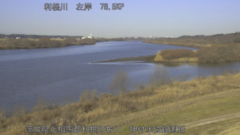 tonos2026020409_image