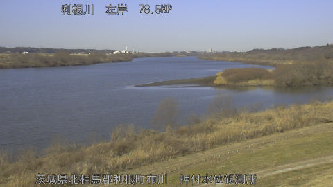 tonos2026020410_image