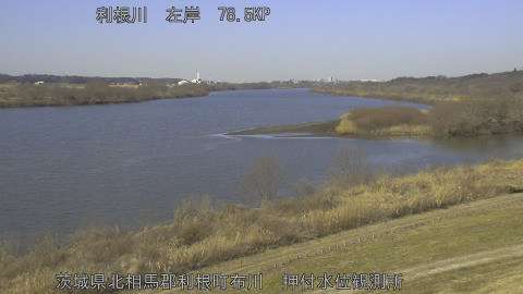 tonos2026020411_image