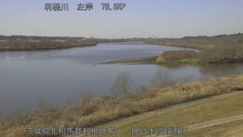 tonos2026020413_image