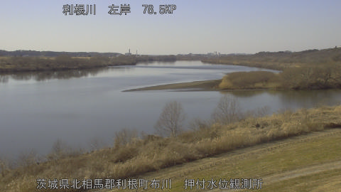 tonos2026020414_image