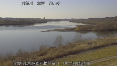 tonos2026020415_image