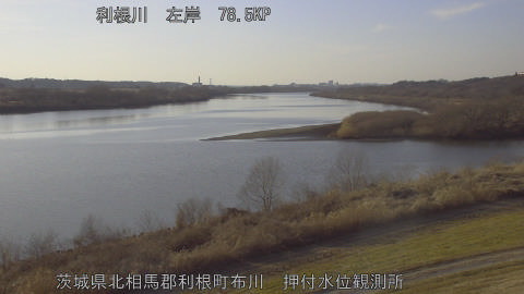 tonos2026020416_image