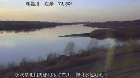 tonos2026020417_image