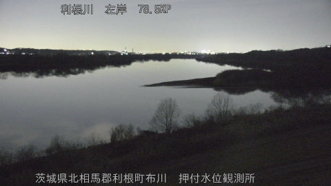 tonos2026020419_image