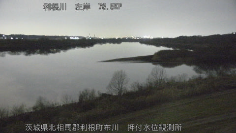 tonos2026020420_image