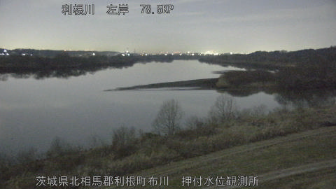 tonos2026020502_image