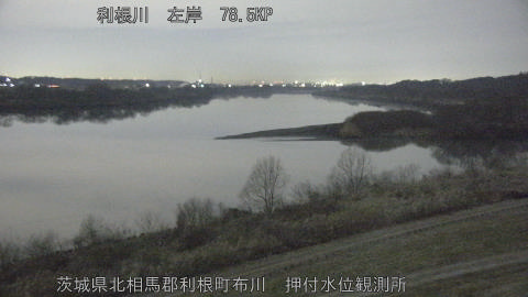 tonos2026020503_image